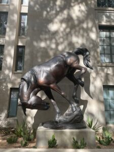 34) Veryl Goodnight (b. 1947), "The Bronc", 2002, Bronze, Loan courtesy of the Jack and Valerie Guenther Foundation
