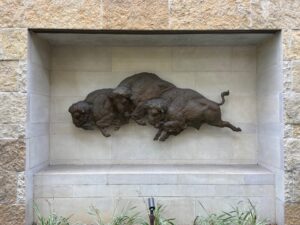 4) Sandy Scott (b. 1943), "Briscoe Bison", 2013, Bronze, Gift of the Jack and Valerie Foundation in honor of Judge Nelson and Tracy Wolff